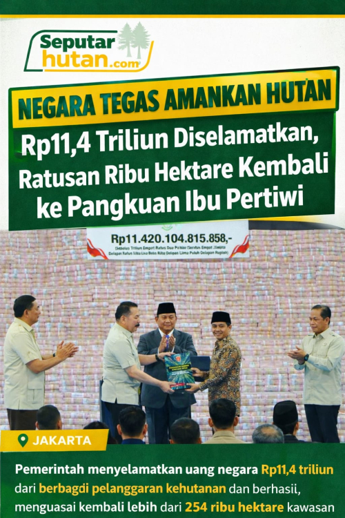 Negara Tegas Amankan Hutan: Rp11,4 Triliun Diselamatkan, Ratusan Ribu Hektare Kembali ke Pangkuan Ibu Pertiwi